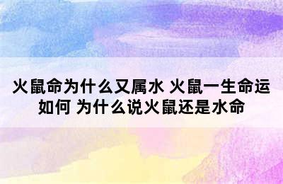 火鼠命为什么又属水 火鼠一生命运如何 为什么说火鼠还是水命